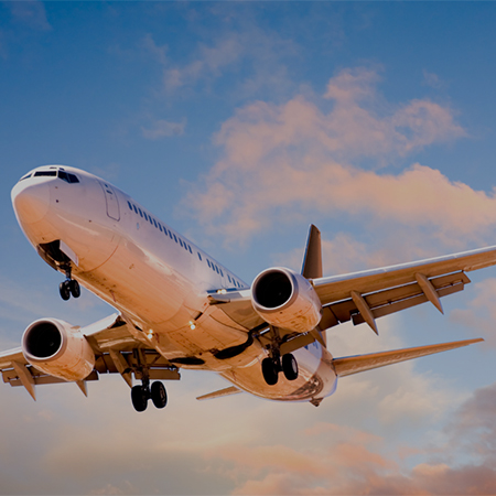 Quem Pode Realizar Transporte Funerário Aéreo